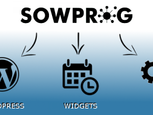 Focus pratique : intégrer votre agenda SOWPROG sur votre site web